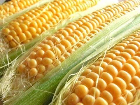 b77cd34465d6a3ddaa640e3fe0641aa5_s