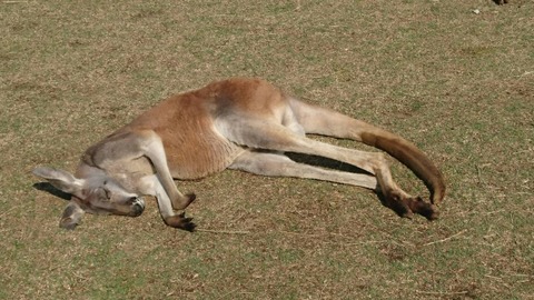 8f7051cf89206c4226be5ef1cffda1a6_s