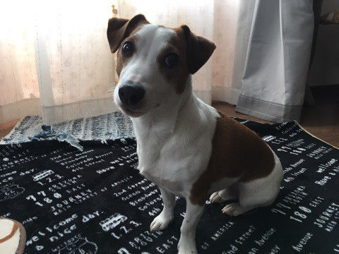 {AEF733B2-BF8B-4387-B791-BC142438BAD8}