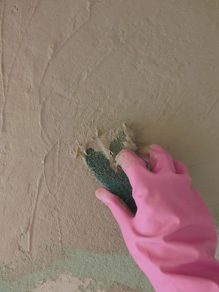 珪藻土を塗る 最終日 ねこだいすき 珪藻土を塗る 最終日 ねこだいすき