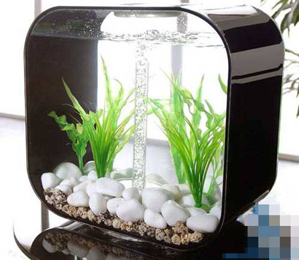 おしゃれなデザインの水槽いろいろ : コペピペポ 海外ニュースとか