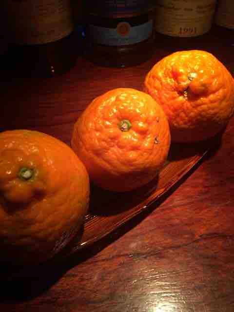 屋久島タンカンのカクテル Bar Jagatkana