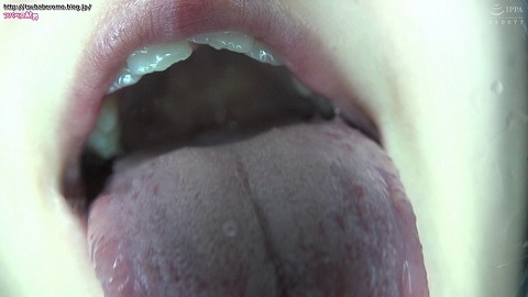 TV151_8942_520