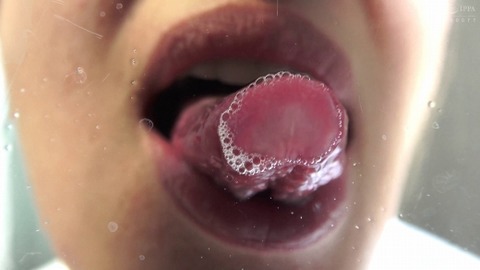 TV081_0787_520