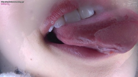 TV211_9523_520