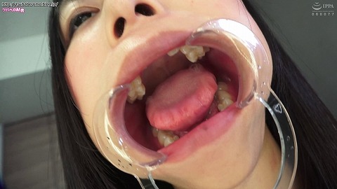 TV121_7456_520
