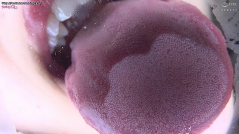 TV211_9590_520
