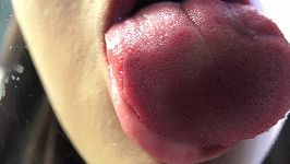 TV091_8747_520