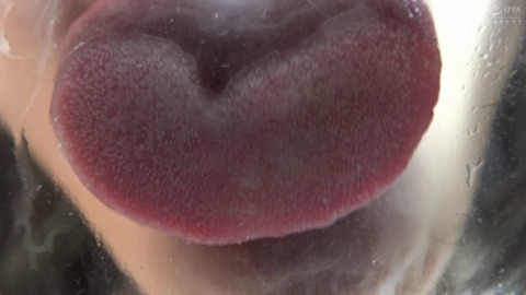 TV071_0944_520
