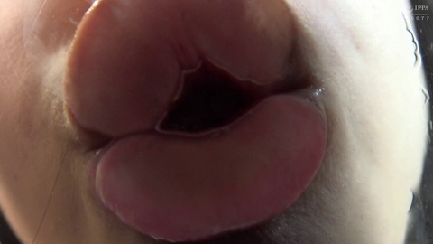 TV071_0877_520