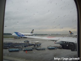 ANA NH201 NARITA