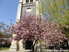 P1000411_StMary-le-TowerChurch_2_s640_OS