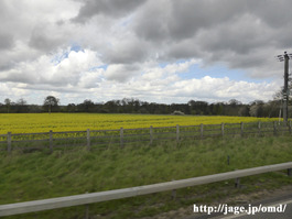 P1020439_s640_OS