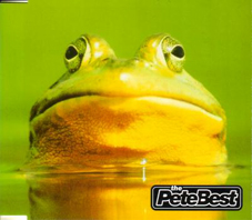 日向ヶ丘 / the PeteBest