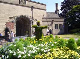 ���ڤ�Robin Hood