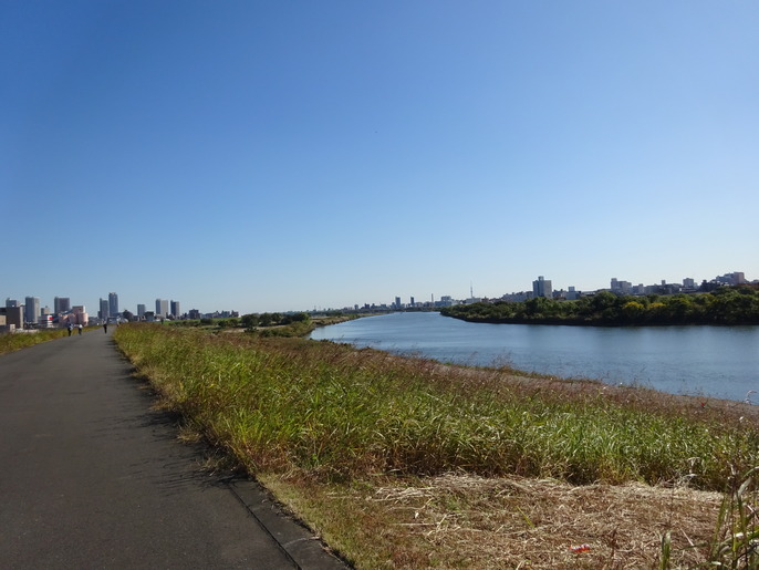 秋の荒川土手 埼玉県川口市 活動してないギタリストの旅 秋の荒川土手 埼玉県川口市 活動してないギタリストの旅