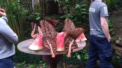 P_20171003_125514_001