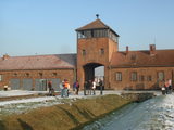 1130cdc7.jpg