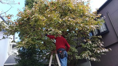 P_20171126_104727_vHDR_Auto