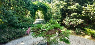 IMG20200823103027