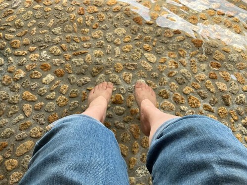 6C484365-4F08-4E7B-B031-8D9CC5D083FC