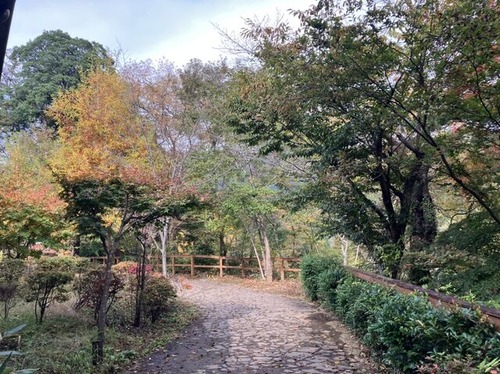 4CAFF91A-3D3F-4C2C-B14F-4EBD9A5764D7