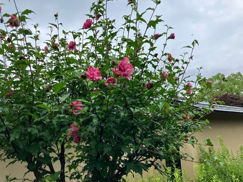 A32607B1-98AF-4248-805D-9733C2914785