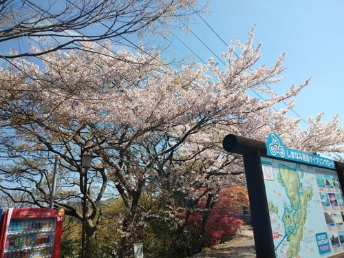 IMG20190413100058