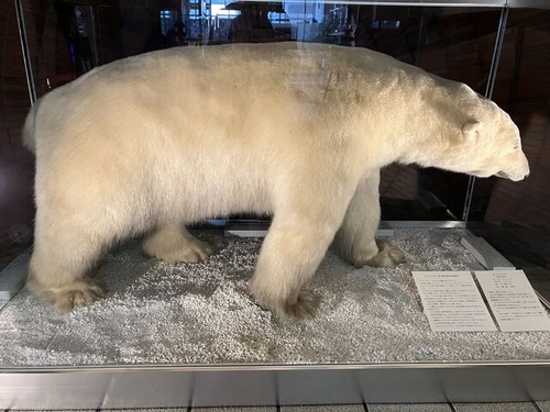 4FBDF7A4-29E1-4024-9402-B713573487CC