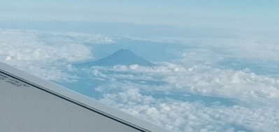 IMG20201124082659