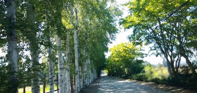 IMG20200823101840