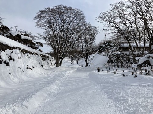 6F9E0EDE-5FD5-44C7-BEEB-9312A52A6133