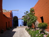 75b85310.JPG