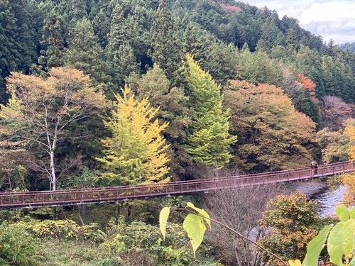 EFC7B3AE-AF45-4104-A91A-8F19917444C8