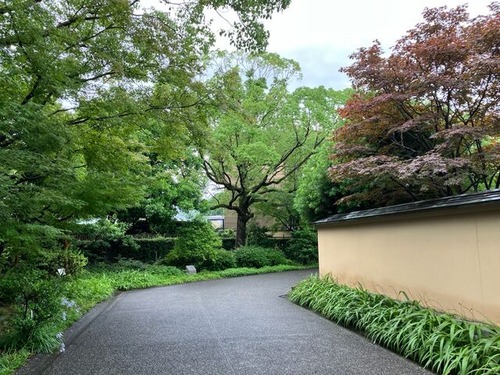 4E2FE8F6-449F-4CAF-A5BC-A0601FCE2A6A