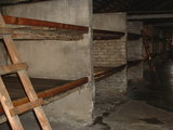8b246821.jpg