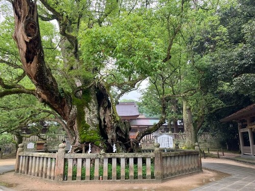 F15091D0-0572-4615-94E5-5AB75C8F2119