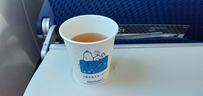 IMG20201124081901
