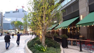 P_20180414_174544_vHDR_On