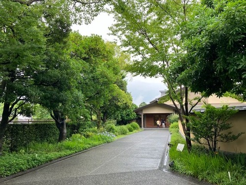 E9A4F222-B1DA-466E-A046-A573211E020C