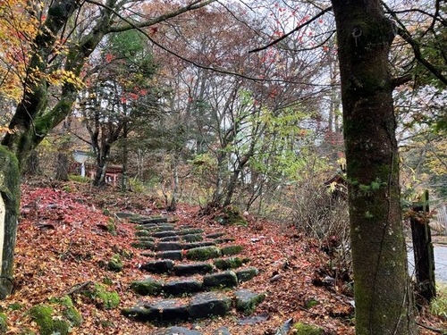 3AA875E1-D3DC-4DCE-93B3-AD539B429B5A