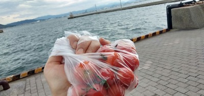 IMG20200725131432