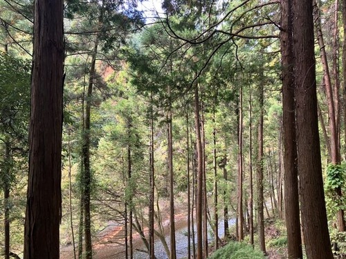 F86824AB-C24D-4A22-B511-B3DCFFA12673