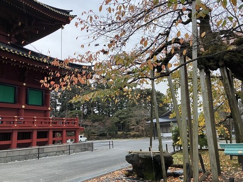 21A25F31-1B10-44DE-B7D3-7CDE5818F85B