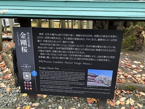 3EA6D601-AC34-4007-8D10-079172DC58A5