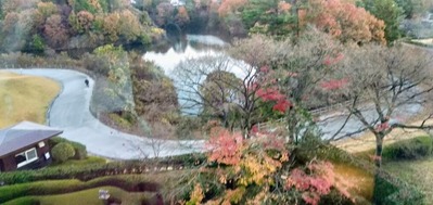 IMG20201124065012