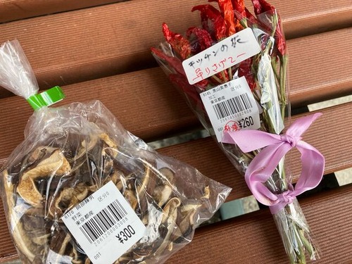 F19FBE4A-D9EA-4E39-9422-C6CB4B21679A