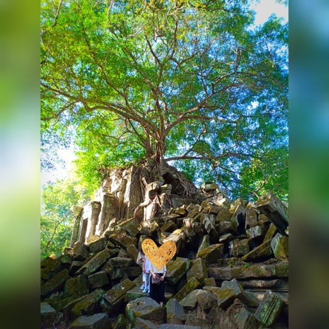 inCollage_20181227_015454021-768x768