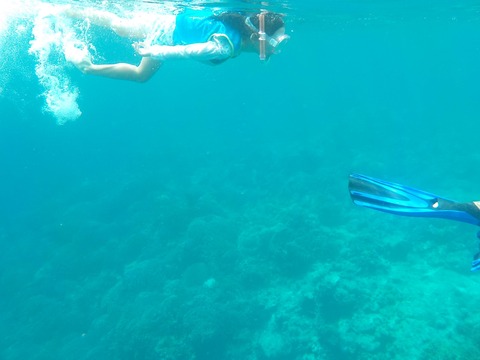 DSCN1216
