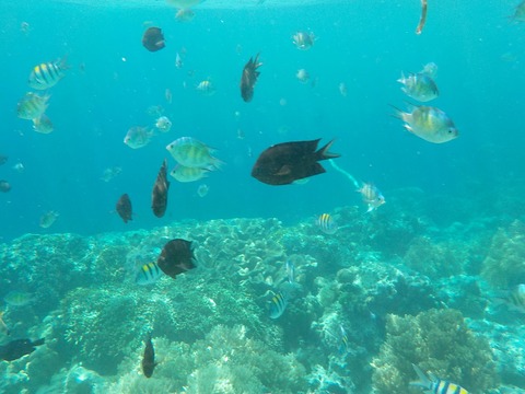 DSCN0706